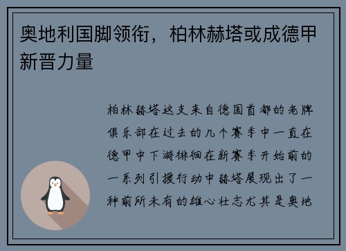 奥地利国脚领衔，柏林赫塔或成德甲新晋力量