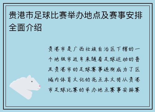 贵港市足球比赛举办地点及赛事安排全面介绍