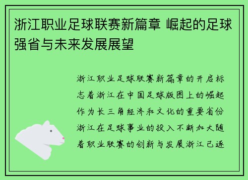 浙江职业足球联赛新篇章 崛起的足球强省与未来发展展望