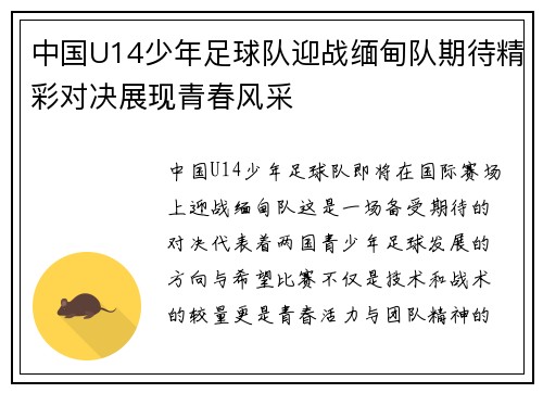 中国U14少年足球队迎战缅甸队期待精彩对决展现青春风采