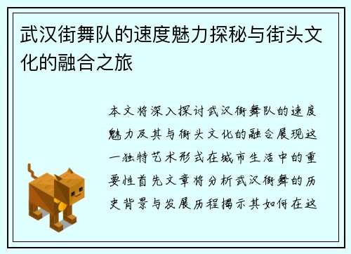 武汉街舞队的速度魅力探秘与街头文化的融合之旅